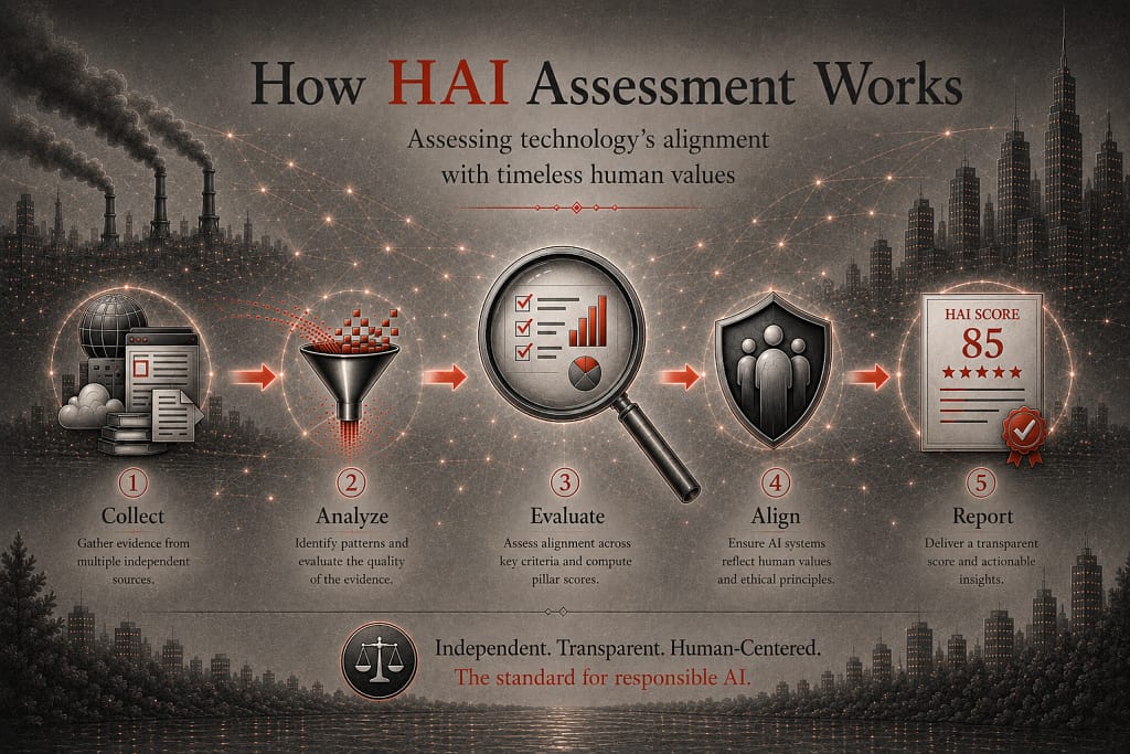 How HAI Assessment Works